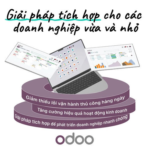 Tư vấn ERP quản trị doanh  nghiệp